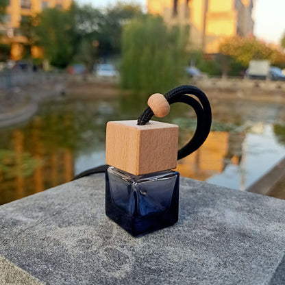 Car Empty Perfume Bottle Pendant Hollow